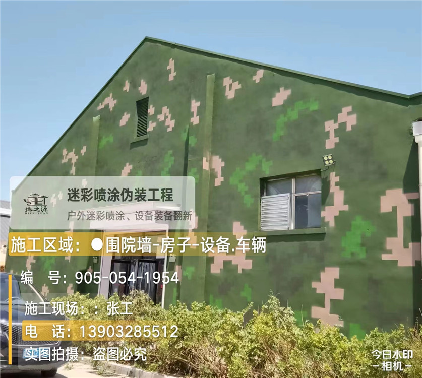楚雄外墙数码迷彩漆施工报价清单（100㎡标准墙面测算）